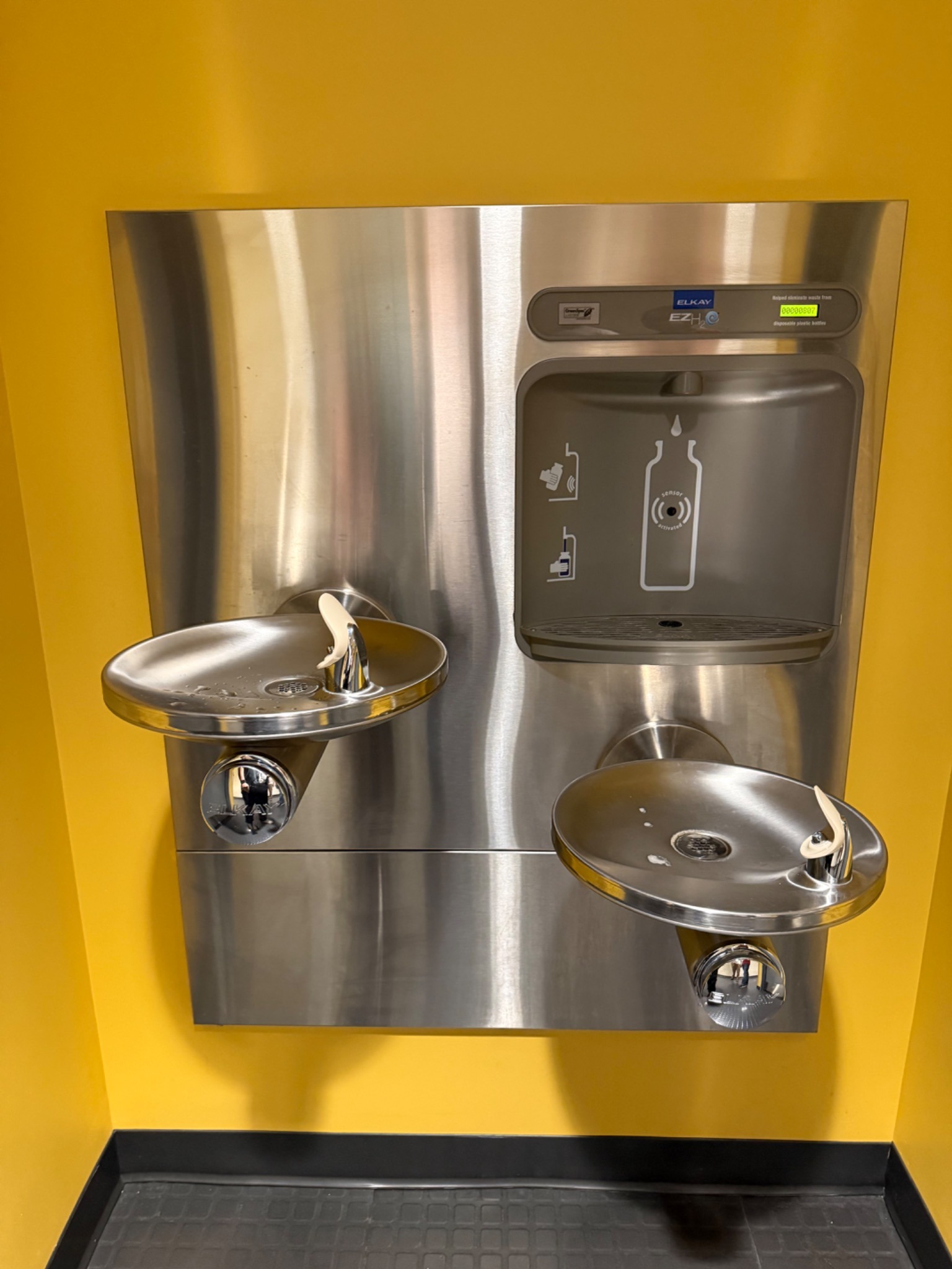 Stainless-steel campus drinking fountain and bottle-filling station